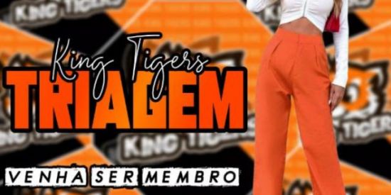 Imagem do grupo de WhatsApp 💯🔥Seguidores no Instagram🔥💯