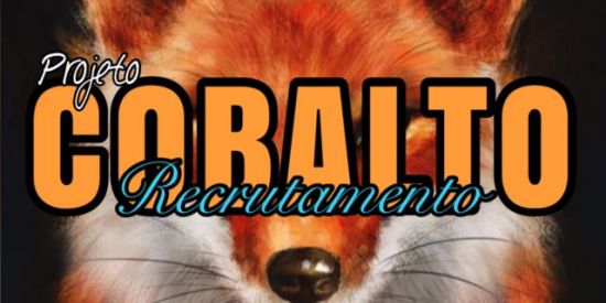 Imagem do grupo de WhatsApp ⏳𝑹𝒆𝒄𝒓𝒖𝒕𝒂𝒎𝒆𝒏𝒕𝒐 𝒄𝒃𝒔🖤