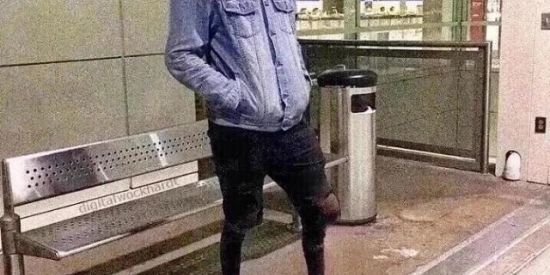 Imagem do grupo de WhatsApp united monkeysS2