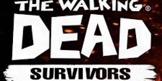 Imagem do grupo de WhatsApp TWD survivor