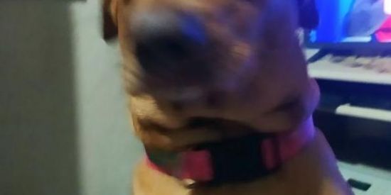 Imagem do grupo de WhatsApp 24h😮‍💨🫠