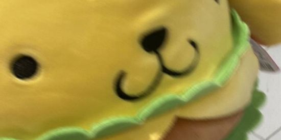 Imagem do grupo de WhatsApp Só namoro