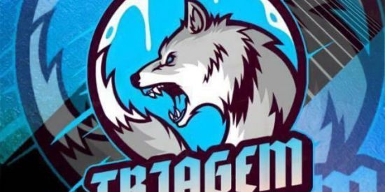 Imagem do grupo de WhatsApp 🦁 TRIAGEM PJL 🦁