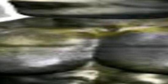 Imagem do grupo de WhatsApp Tropinha da zoaçao🔥