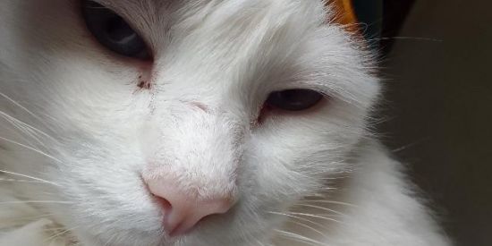 Imagem do grupo de WhatsApp UM TAPA NA GOSTOSA (O ORIGINAL)