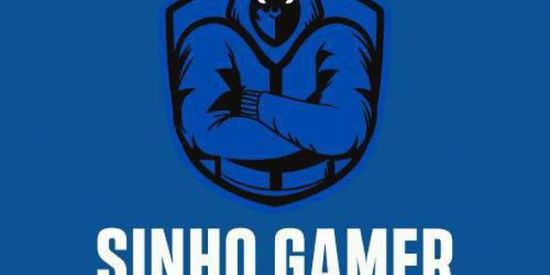 Imagem do grupo de WhatsApp Sinho Gamer APK MODS