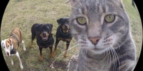 Imagem do grupo de WhatsApp ༺👻◤  𝕮𝐫𝐚𝐳𝐲 𝕮𝐥𝐮𝐛 ◥👻༺