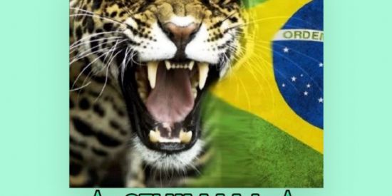 Imagem do grupo de WhatsApp Brava gente Brasileira🇧🇷
