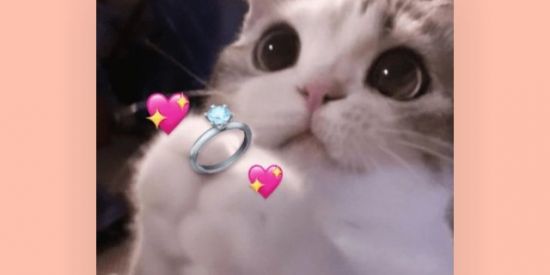 Imagem do grupo de WhatsApp Vai dar namoro 💞🍷