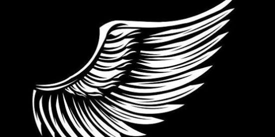 Imagem do grupo de WhatsApp CANAL - ROBUSTOsx