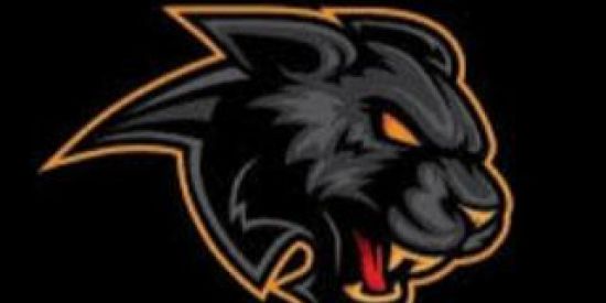 Imagem do grupo de WhatsApp S4 Recrutamento