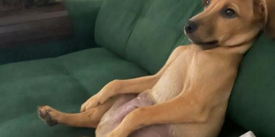 Imagem do grupo de WhatsApp 💕NAMORO E AMIZADE PRO DAVI💕