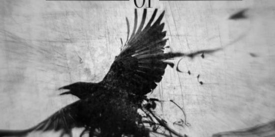 Imagem do grupo de WhatsApp ꪶ𝚫𝐃𝐕𝚵𝐍𝐂𝚵𝐃 ៛ 𝐑𝐄𝐂𝐑𝐔𝐓𝐀 𝟏 ♞ꪶ