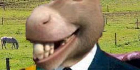 Imagem do grupo de WhatsApp DEBATE POLÍTICO 🤜🤛