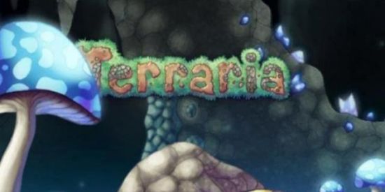Imagem do grupo de WhatsApp TERRARIA