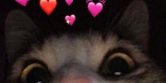 Imagem do grupo de WhatsApp Amizade ou Namoro💓