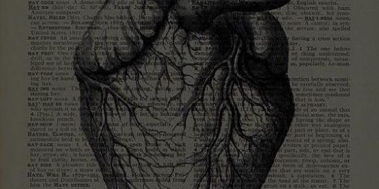 Imagem do grupo de WhatsApp ꧁☬🌄- Sɯαn Lαke - 🦢☬꧂