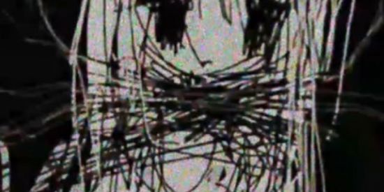 Imagem do grupo de WhatsApp АРХИВИРОВАНО ьу - DГАСОху