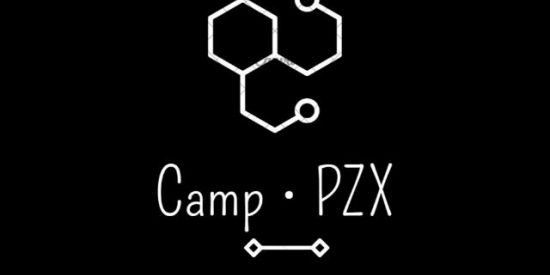 Imagem do grupo de WhatsApp Camp • PZX