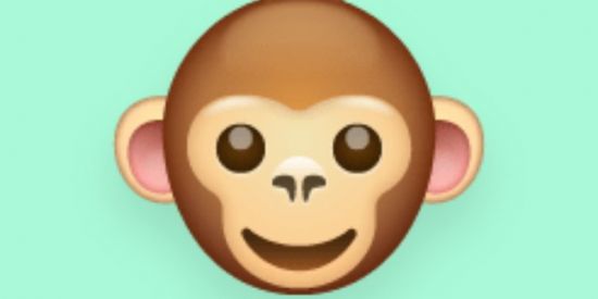 Imagem do grupo de WhatsApp Macacos da morte