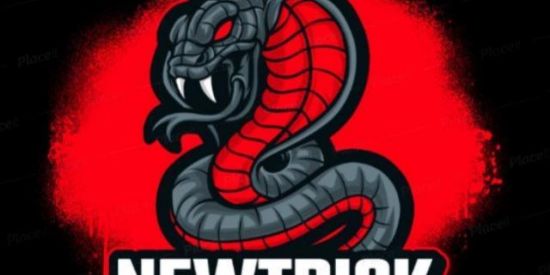 Imagem do grupo de WhatsApp Seguidores no instagram01