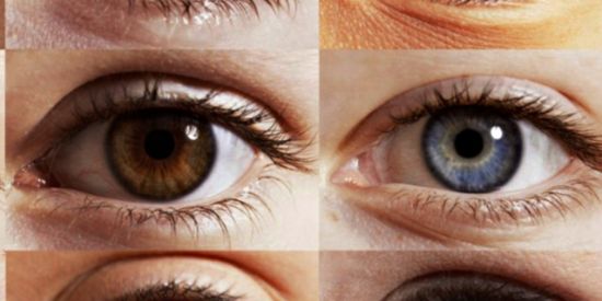 Imagem do grupo de WhatsApp Biokinesis Revolution 📚