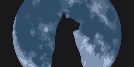 Imagem do grupo de WhatsApp conversas e figurinhas