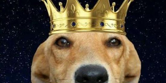 Imagem do grupo de WhatsApp 『 𝑅𝐸𝐼 𝐶𝐴𝑅𝐴𝑀𝐸𝐿𝑂 🍷🗿』