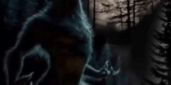 Imagem do grupo de WhatsApp grupo amizades 2023