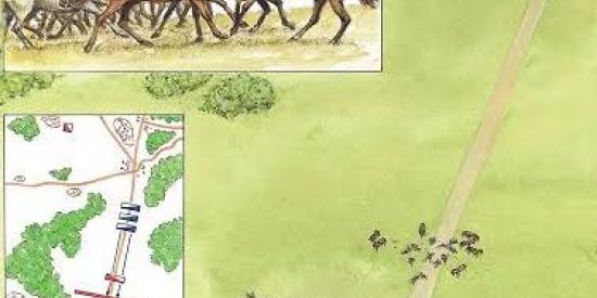 Imagem do grupo de WhatsApp RPG.MEDIEVAL [fotos]