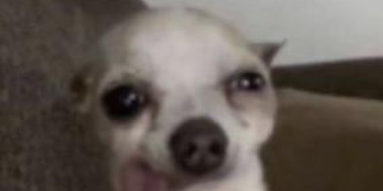 Imagem do grupo de WhatsApp Wₑ𝚋 𝚌ₐᵣₑ𝚗𝚝ₑ𝘴