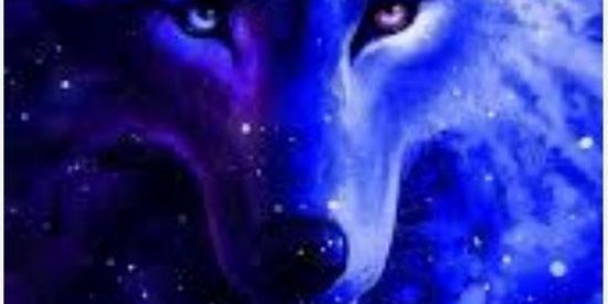 Imagem do grupo de WhatsApp grupo