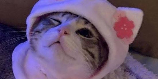 Imagem do grupo de WhatsApp 🍧 FESTA DO PIJAMA 🍧