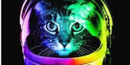 Imagem do grupo de WhatsApp OϽI⊥́∀Ꞁ∀⅁ O⊥∀⅁