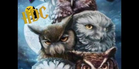 Imagem do grupo de WhatsApp 🦉🌹🔮Namoro🔮🌹🦉