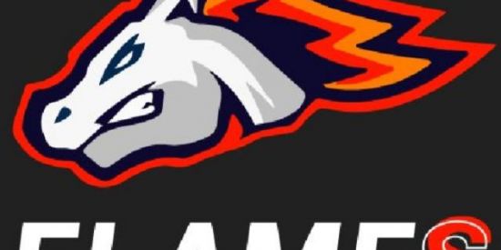 Imagem do grupo de WhatsApp MK MÉTODOS FLAMES-BET