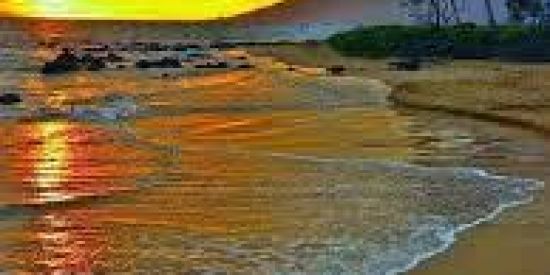 Imagem do grupo de WhatsApp Só os bonitos