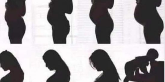 Imagem do grupo de WhatsApp Lar das tentantes