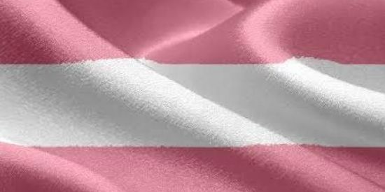 Imagem do grupo de WhatsApp Trans de Bsb triagem