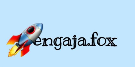 Imagem do grupo de WhatsApp Engaja Fox🚀