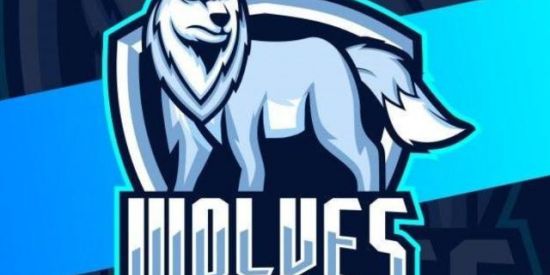 Imagem do grupo de WhatsApp RECRUTAMENTO WOLVES