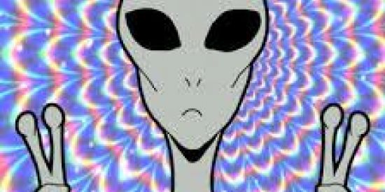 Imagem do grupo de WhatsApp Insônia 😴