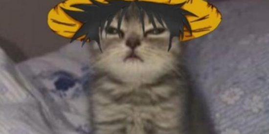 Imagem do grupo de WhatsApp SO DOIDEIRA