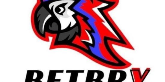 Imagem do grupo de WhatsApp BETBRY