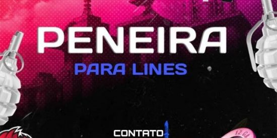 Imagem do grupo de WhatsApp PENEIRA TROLL🔄