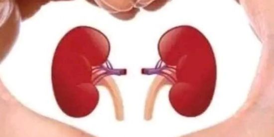 Imagem do grupo de WhatsApp SIDROME NEFRÓTICA 🫂