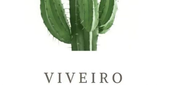 Imagem do grupo de WhatsApp viveiro cidade do sol 🌱