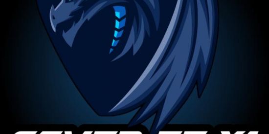 Imagem do grupo de WhatsApp GIVER FF X1 👾