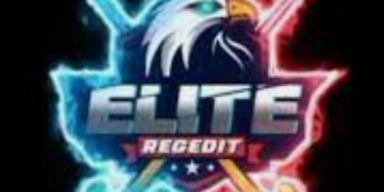 Imagem do grupo de WhatsApp 🚩ELITE REGEDIT VIP🚩