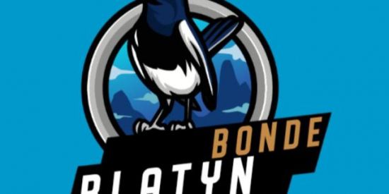 Imagem do grupo de WhatsApp 🕊|• triagem (ɓყ) •|🕊